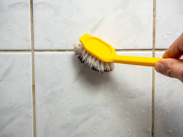 Sunnyvale, TX Mold Removal Company