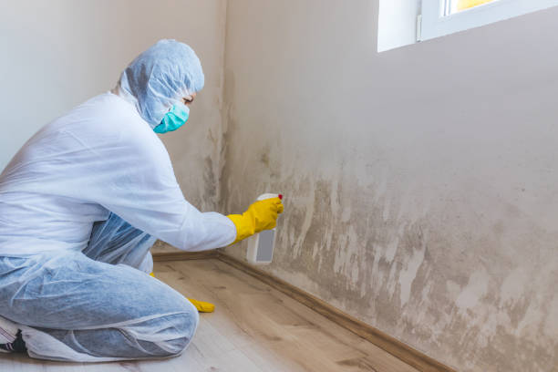 Crawl Space Mold Removal in Sunnyvale, TX