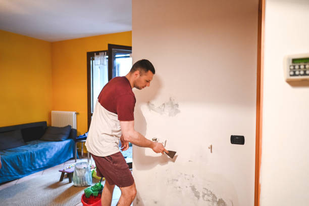 Best Crawl Space Mold Removal  in Sunnyvale, TX